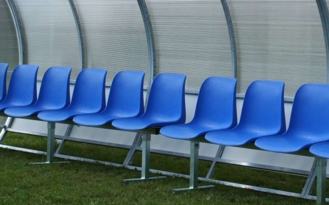 BENVENUTO MISTER GIARDINI